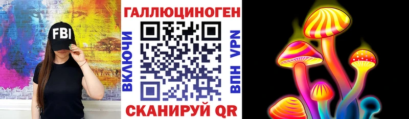 omg Ужур Псилоцибиновые грибы GOLDEN TEACHER закладки